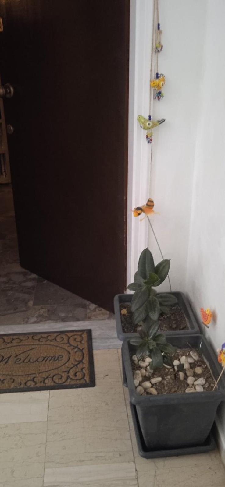 Campelina Home, 2Bd Near Corfu Town Екстер'єр фото